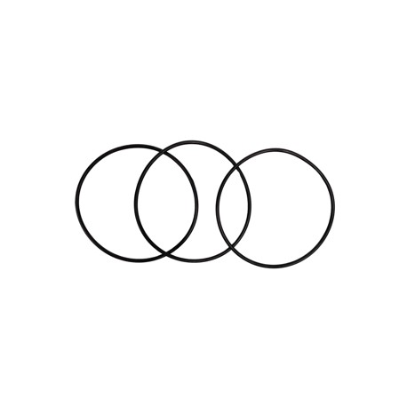 LIGA CAMISA JGO 3 PZAS NAVISTAR DT 360 ANT 1993 FP