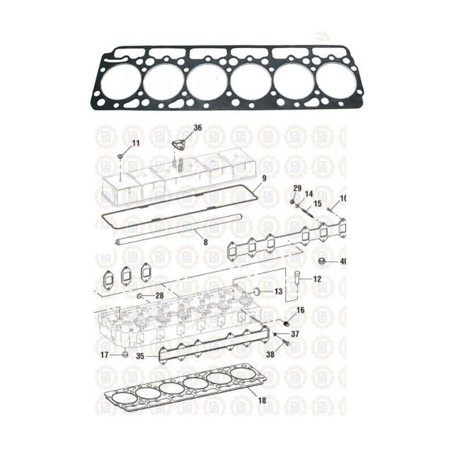 EMP CABEZA NAVISTAR DT 466 ANT.1993 FP