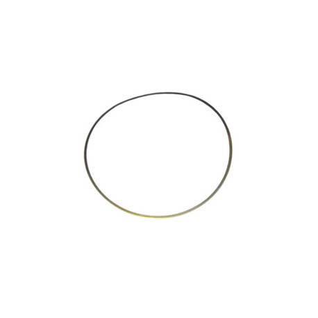 LAINA CAMISA .010  NAVISTAR DT 408,466,530 NGD (94-99) 462033 PAI