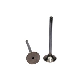 VALVULA ESCAPE NAVISTAR DT 466E,530E NGD Y ELECT. (94/03) 491010 PAI