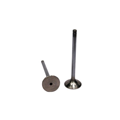 VALVULA ESCAPE NAVISTAR DT 466E,530E NGD Y ELECT. (94/03) 491010 PAI