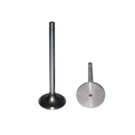 VALVULA ADMISION NAVISTAR DT 466E,530E (00-03) 491011 PAI