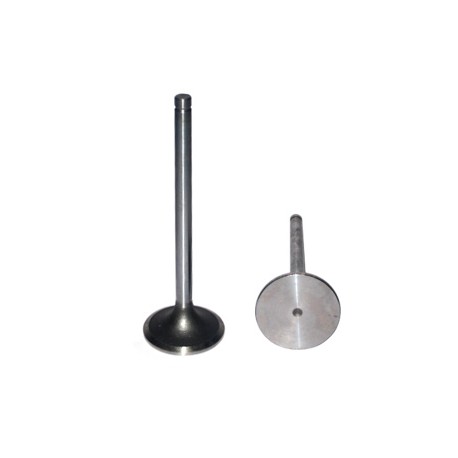 VALVULA ADMISION NAVISTAR DT 466E,530E (00-03) 491011 PAI