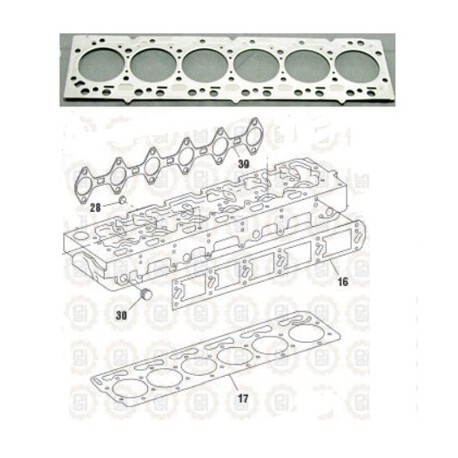 EMP CABEZA NAVISTAR DT 530E (00-03) 431281 PAI