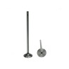 VALVULA ADMISION STD DETROIT S-60 CLEVITE
