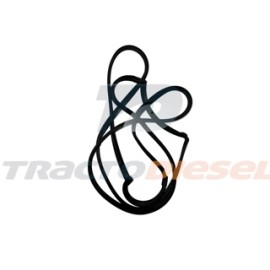 EMP PUNTERIAS S-60 DDEC IV,V (LIGA) FP