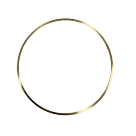 LAINA .007 CAMISA STD/.010 CUMMINS 315,350,N14 PAI