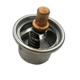 TERMOSTATO 180° CUMMINS 350,M11,N14 FP