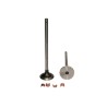 VALVULA ESCAPE 45° 3166410 KIT N14 PLUS  191995 PAI