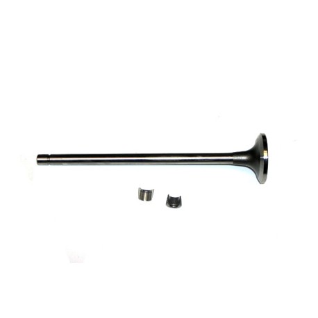 VALVULA ADMISION 3033234 KIT CUMMINS L10 191984 PAI