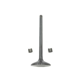 VALVULA ESCAPE 2V SERIE B  FEL PRO