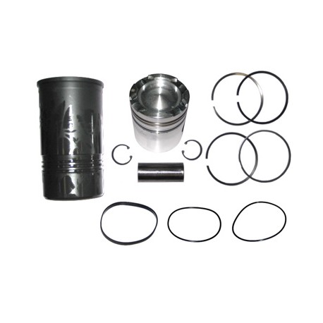 CONJUNTO CUMMINS 365 P.3069212 101027 PAI