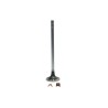 VALVULA ADMISION 3084045 KIT N14 CELEC PLUS 20° FP