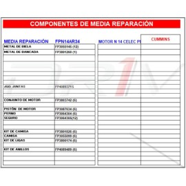 MEDIA REP STD CUMMINS N14 PLUS P. 3087634 FP