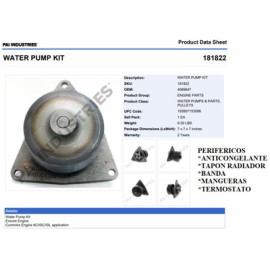 BOMBA DE AGUA 181822E CUMMINS ISC, PACCAR PX8 PAI