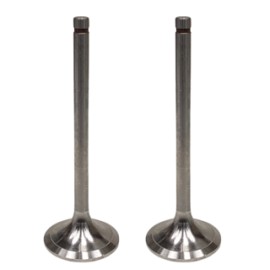 VALVULA ADMISION NAVISTAR DT 466 ANT 1993 491001 PAI