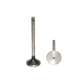 VALVULA ADMISION NAVISTAR DT 360 ANT 1993 491007 PAI