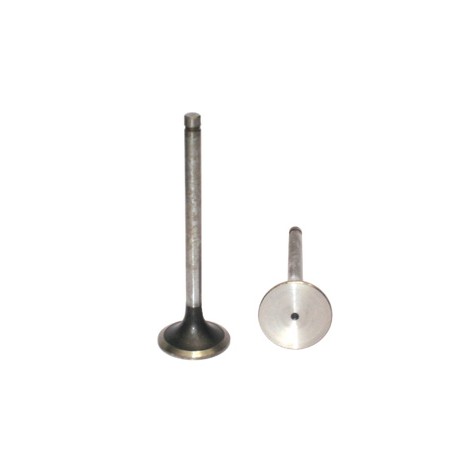 VALVULA ADMISION NAVISTAR DT 360 ANT 1993 491007 PAI