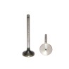 VALVULA ADMISION NAVISTAR DT 360 ANT 1993 491007 PAI