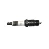 BUJIA PLATINO BL16Y 3025  CHEV. 6 Y 8 CIL AUTOLITE