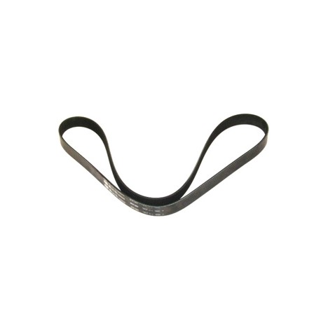 BANDA VENT CUMMINS L10 M11 ISM 8PK1384  3034944 TOYOPOWER