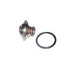 TERMOSTATO 180° NAVISTAR 7.3 MEC. MORESA