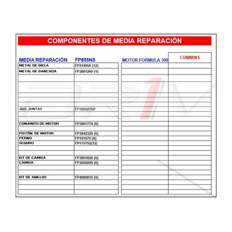 MEDIA REP STD P/CUMMINS 300 P.3042320 FP