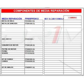 MEDIA REP STD P/CUMMINS 365 P. 3069212 FP